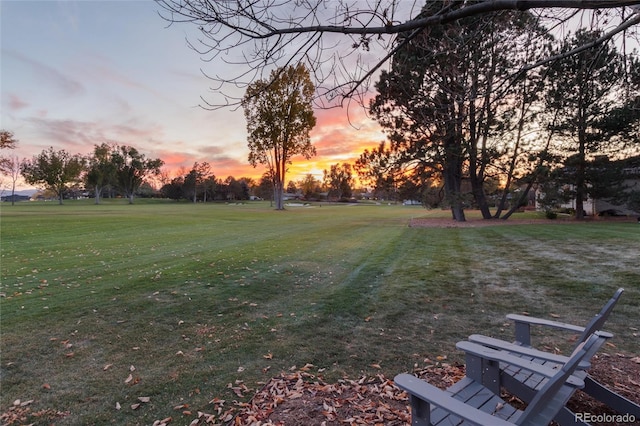 view of yard at dusk