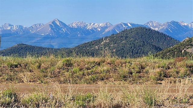 TBDL Reed Road, Cotopaxi, CO 81223