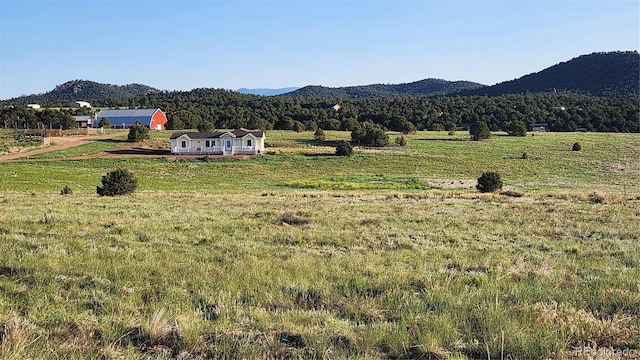 TBDL Reed Road, Cotopaxi, CO 81223