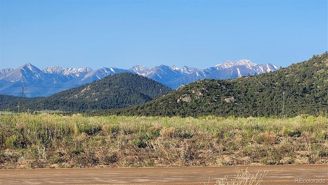 TBDL Reed Road, Cotopaxi, CO 81223