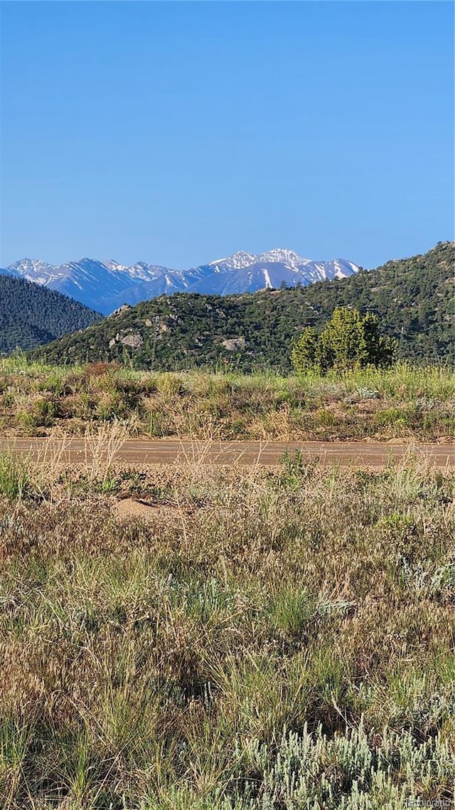 TBDL Reed Road, Cotopaxi, CO 81223