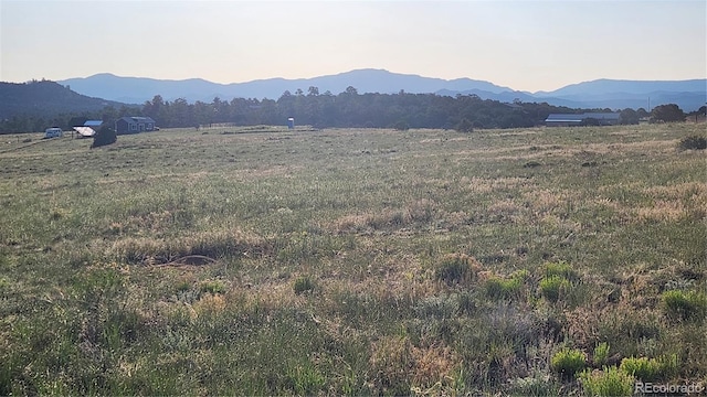 TBDL Reed Road, Cotopaxi, CO 81223