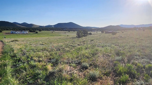 TBDL Reed Road, Cotopaxi, CO 81223