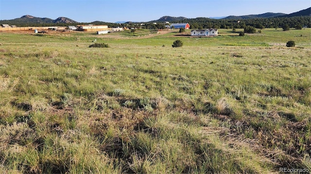 TBDL Reed Road, Cotopaxi, CO 81223
