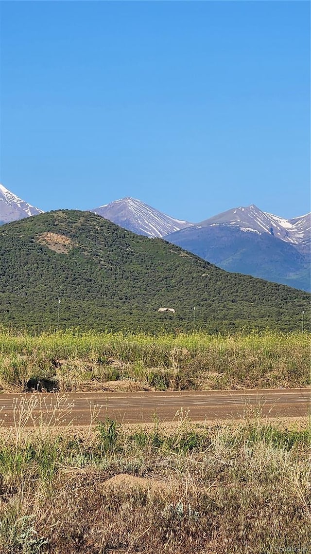 TBDL Reed Road, Cotopaxi, CO 81223