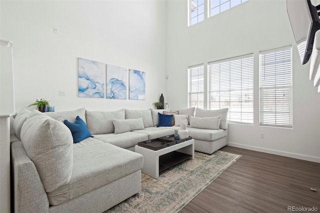 living room with hardwood / wood-style flooring, a towering ceiling, and plenty of natural light