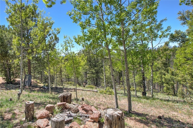 view of local wilderness