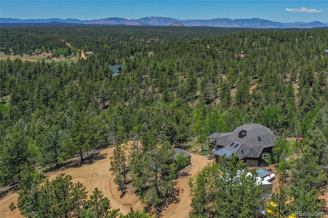 drone / aerial view featuring a mountain view