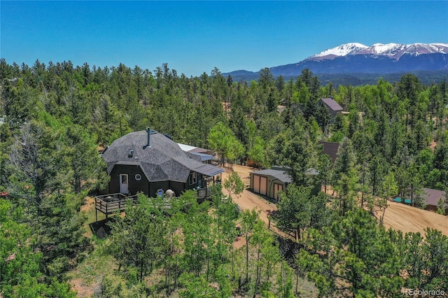 birds eye view of property with a mountain view