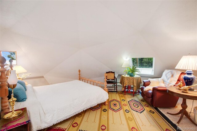 47 Aspen Rd, Woodland Park, CO 80863 - bedroom with lofted ceiling and wood finished floors