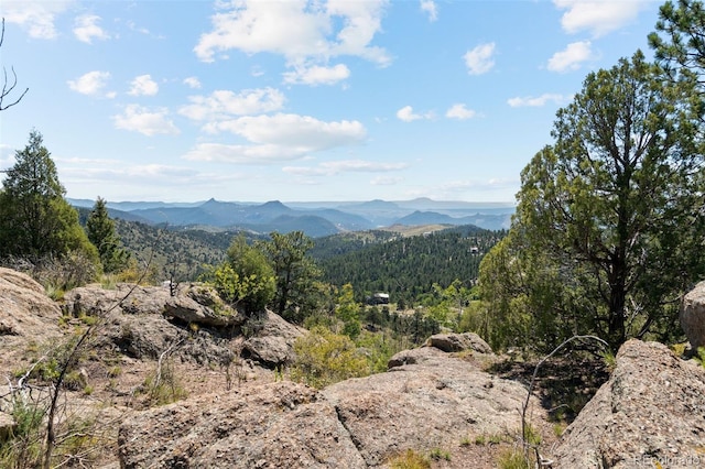 view of mountain feature