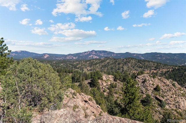 view of mountain feature