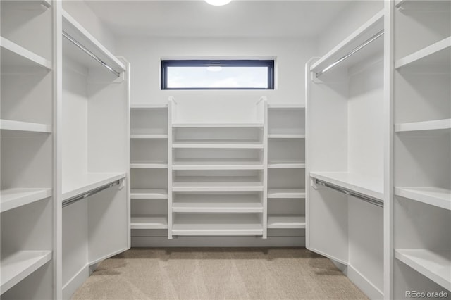 357 S Franklin St, Denver, CO 80209 - spacious closet with light carpet