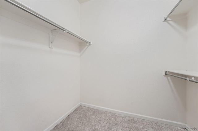 walk in closet featuring carpet flooring