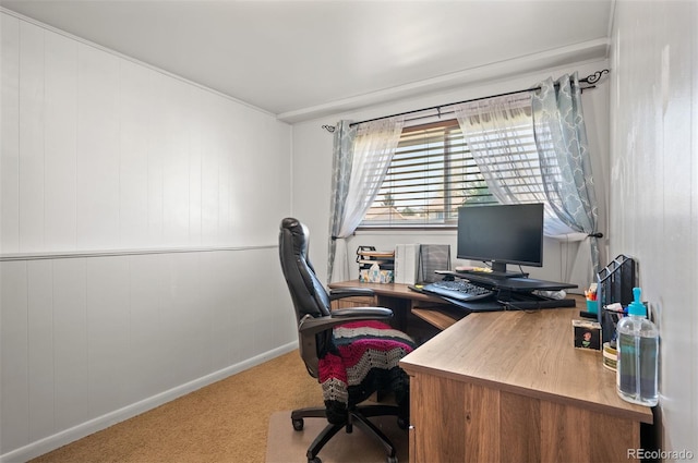 office area with carpet and baseboards