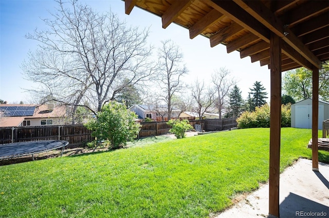view of yard featuring a storage shed, an outdoor structure, and a trampoline