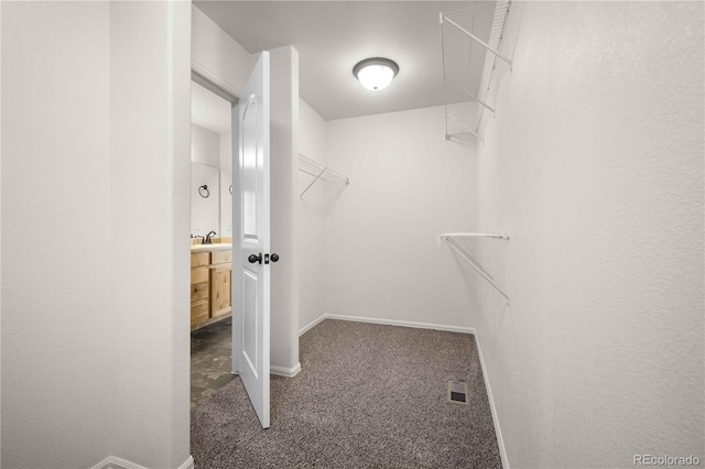 spacious closet with sink and dark carpet