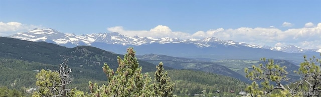 29657 Loomis Way, Golden, CO 80403 - view of mountain background with a forest