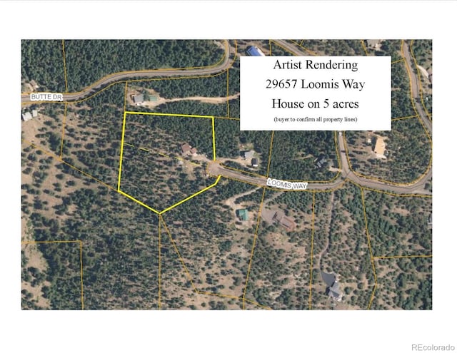 29657 Loomis Way, Golden, CO 80403 - photo 10