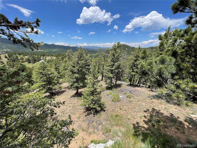 29657 Loomis Way, Golden, CO 80403 - photo 16