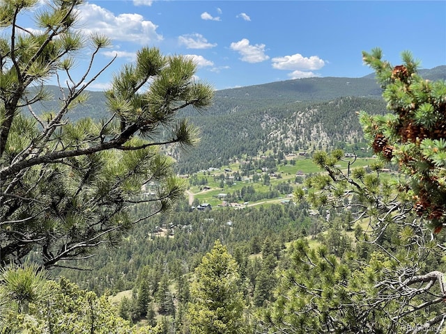 29657 Loomis Way, Golden, CO 80403 - photo 17