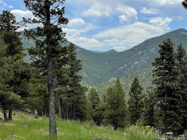 29657 Loomis Way, Golden, CO 80403 - photo 18