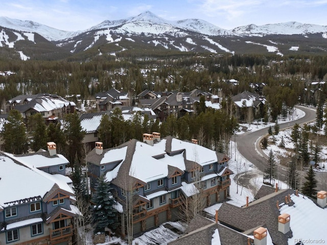 043 Snowflake Dr Unit D7, Breckenridge, CO 80424 - photo 35