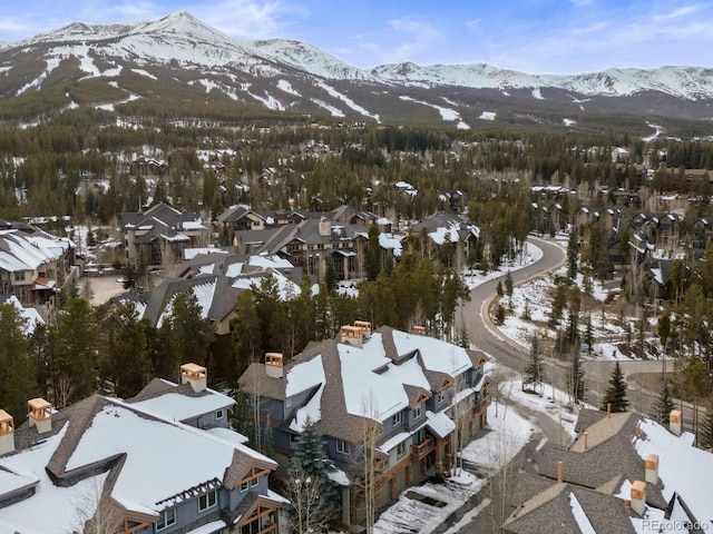 043 Snowflake Dr Unit D7, Breckenridge, CO 80424 - photo 37