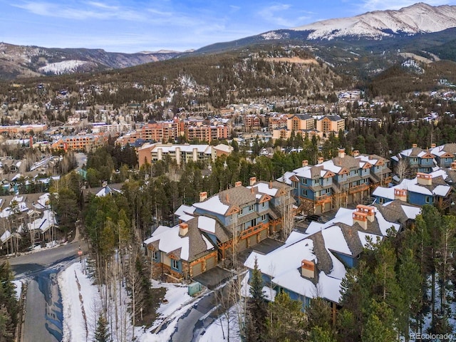 043 Snowflake Dr Unit D7, Breckenridge, CO 80424 - photo 39