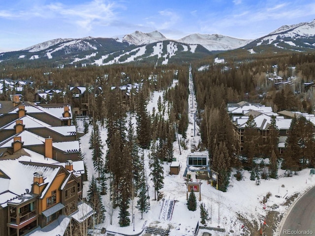 043 Snowflake Dr Unit D7, Breckenridge, CO 80424 - photo 40