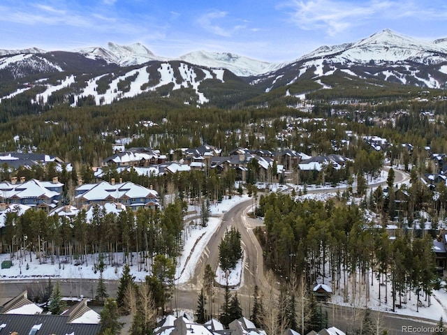 043 Snowflake Dr Unit D7, Breckenridge, CO 80424 - photo 41