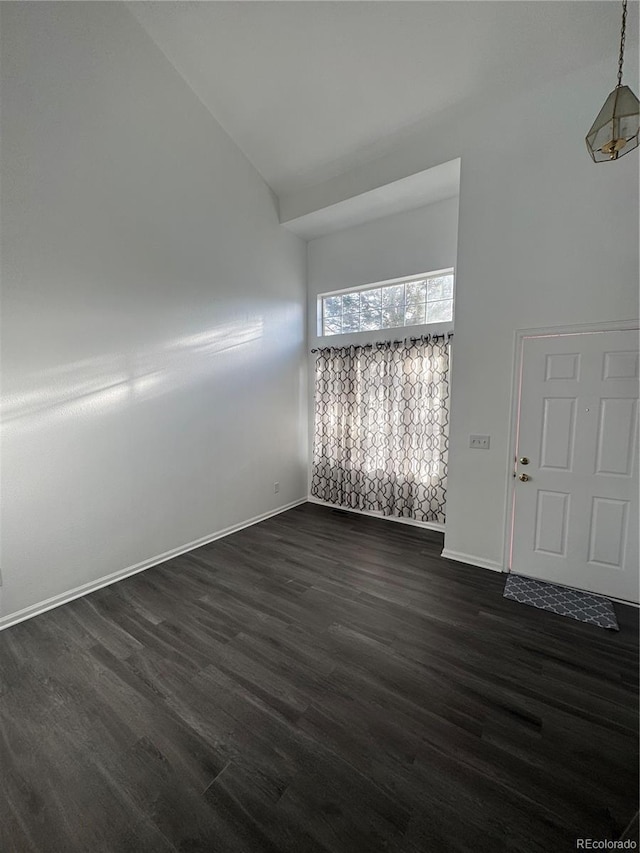 entryway featuring high vaulted ceiling and dark hardwood / wood-style flooring