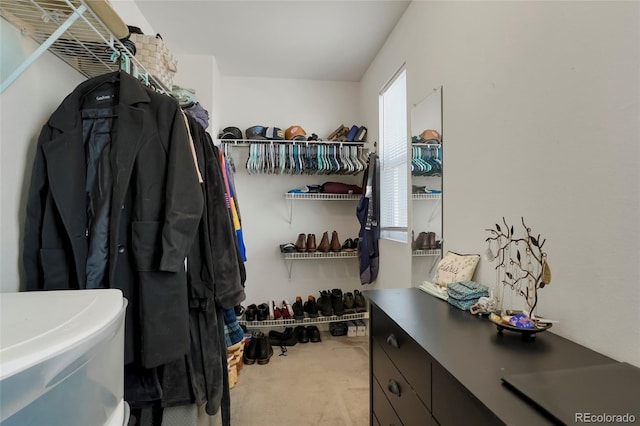 spacious closet with light colored carpet