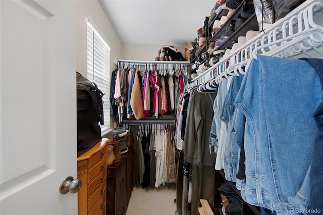 walk in closet featuring carpet