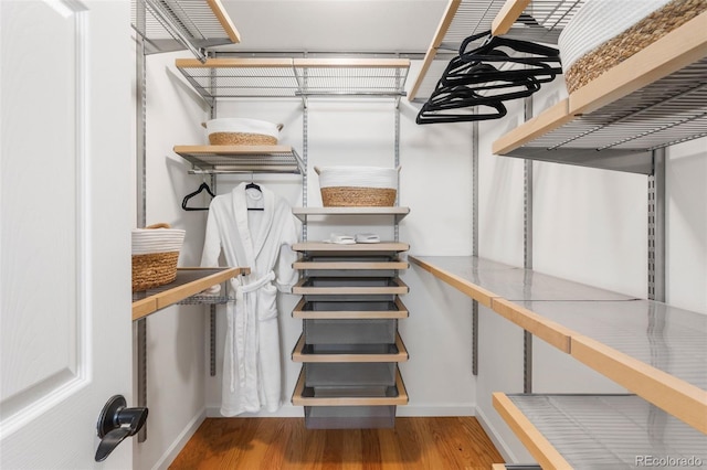 4185 Red Rock Dr, Larkspur, CO 80118 - walk in closet with wood finished floors