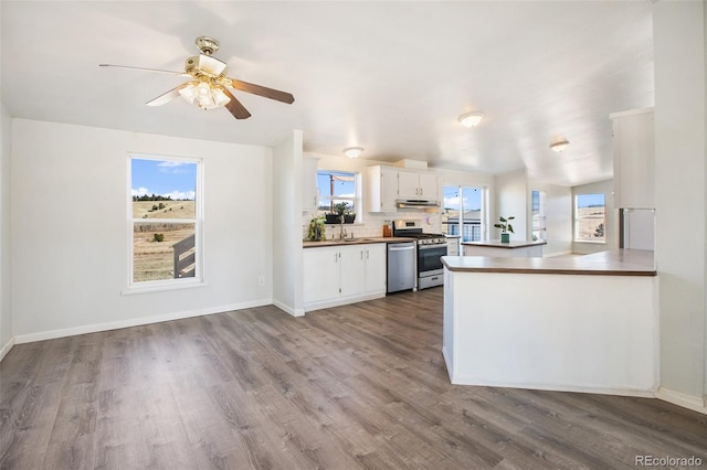 kitchen featuring white cabinetry, wood-type flooring, a healthy amount of sunlight, and appliances with stainless steel finishes