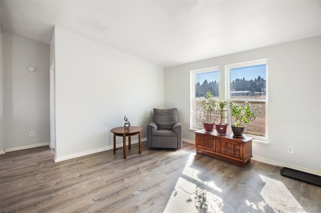 living area with wood-type flooring