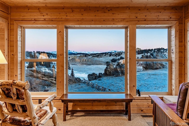 305 Travois Ct, Como, CO 80432 - sitting room with wood walls, a mountain view, healthy amount of natural light, and carpet