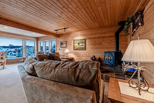305 Travois Ct, Como, CO 80432 - carpeted living room featuring wooden walls, a wood stove, wooden ceiling, and track lighting