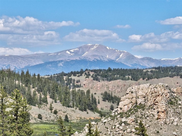 305 Travois Ct, Como, CO 80432 - view of mountain background