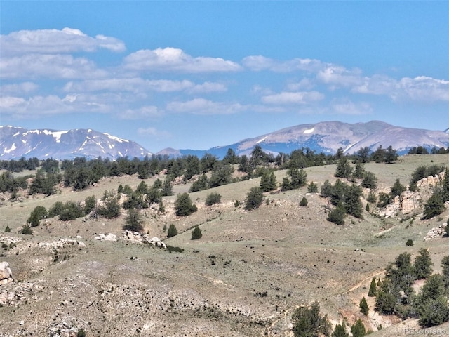 305 Travois Ct, Como, CO 80432 - view of mountain background