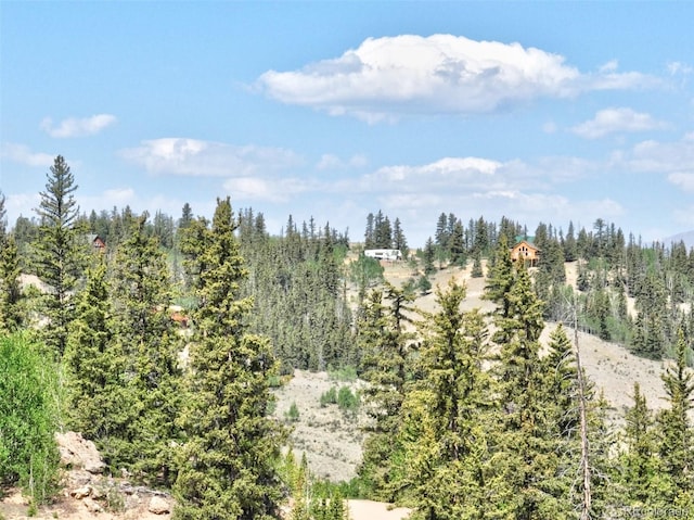 305 Travois Ct, Como, CO 80432 - view of wooded area