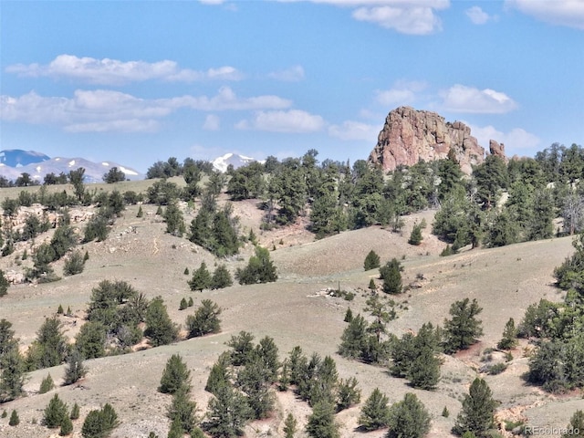 305 Travois Ct, Como, CO 80432 - view of mountain background