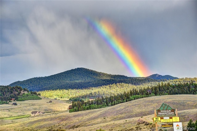 305 Travois Ct, Como, CO 80432 - view of mountain background with a forest