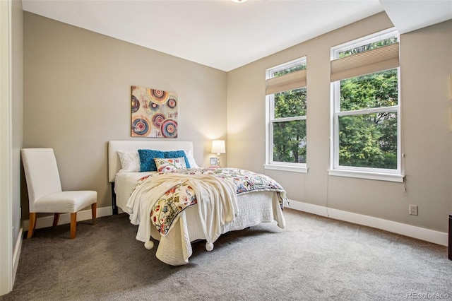 340 S Lafayette St Unit 204, Denver, CO 80209 - carpeted bedroom featuring baseboards