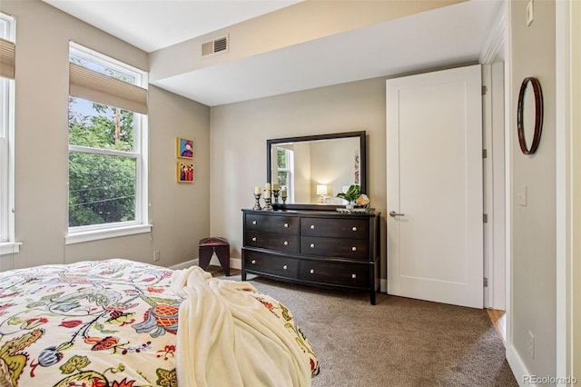 340 S Lafayette St Unit 204, Denver, CO 80209 - bedroom featuring carpet floors and baseboards