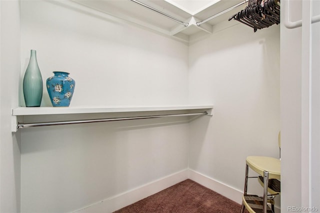 340 S Lafayette St Unit 204, Denver, CO 80209 - spacious closet featuring dark colored carpet