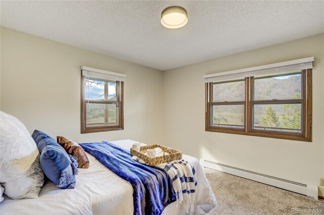 9610 Mohawk Trl, Cascade, CO 80809 - bedroom with a baseboard radiator, carpet floors, and a textured ceiling