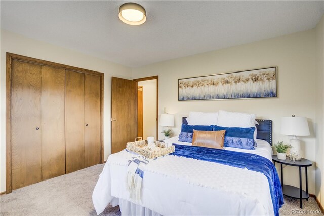 9610 Mohawk Trl, Cascade, CO 80809 - bedroom with carpet and a closet