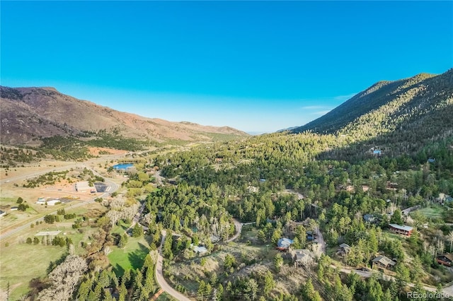 9610 Mohawk Trl, Cascade, CO 80809 - mountain view with a heavily wooded area